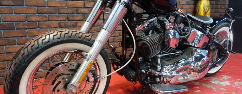 2006年 FLSTNﾃﾚｽｺﾎﾞﾊﾞｰPart2