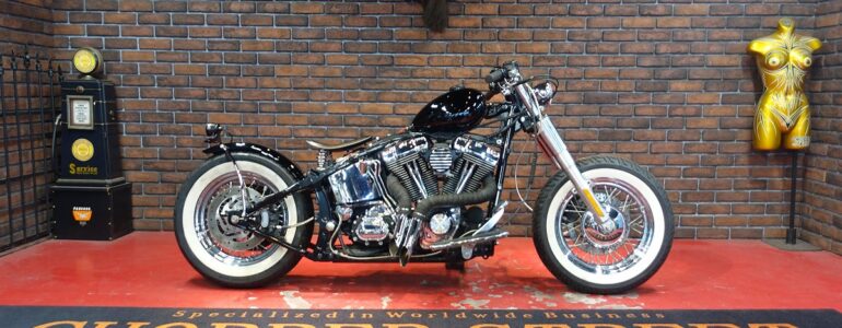 2006年 FLSTNﾃﾚｽｺﾎﾞﾊﾞｰPart2