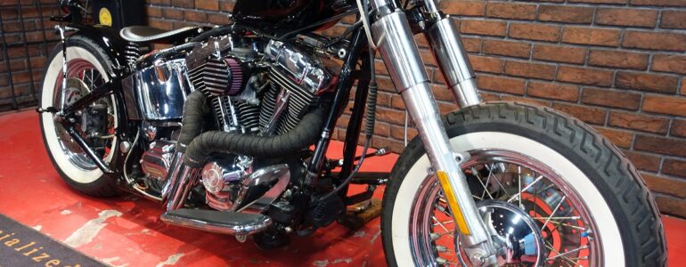 2006年 FLSTNﾃﾚｽｺﾎﾞﾊﾞｰPart2